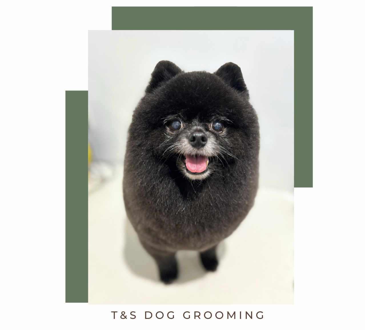 Screenshot 2026-02-12 at 11.49.54 am.png