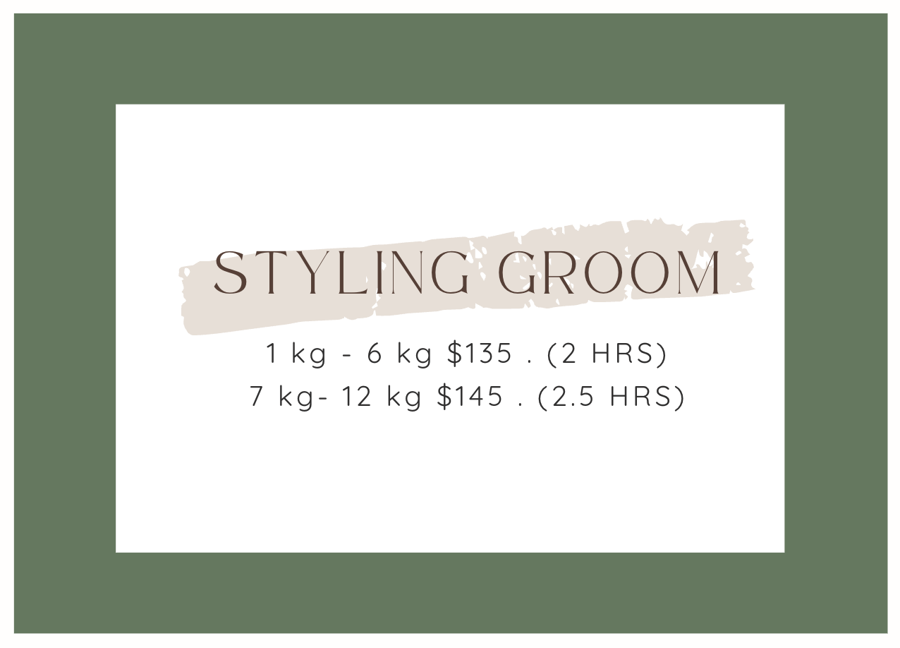 Screenshot 2026-02-12 at 11.39.12 am.png