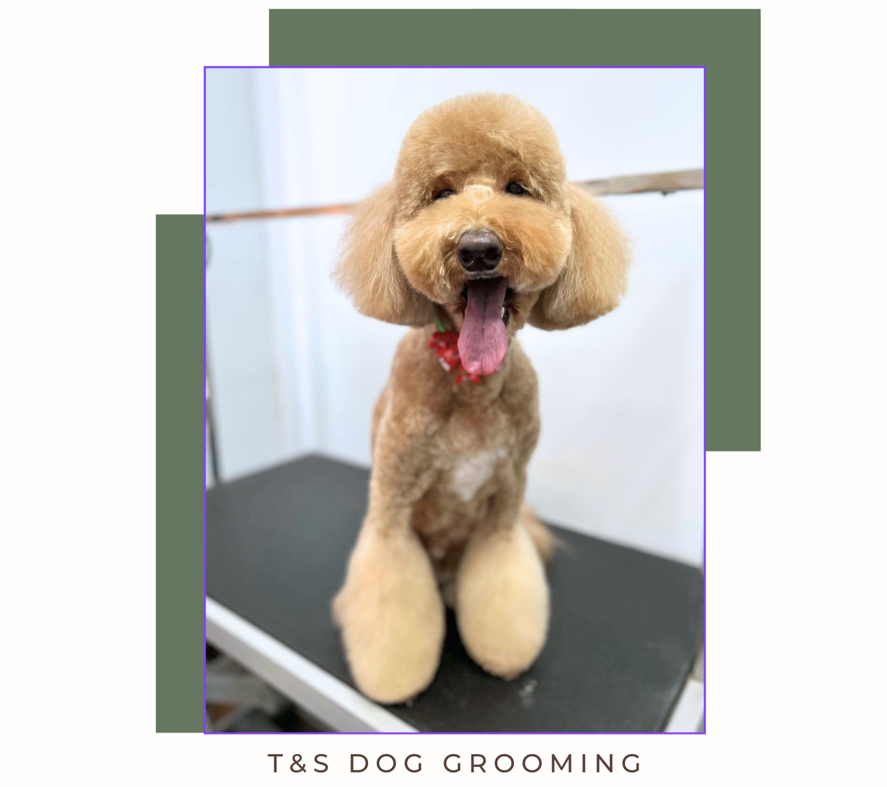 Screenshot 2026-02-12 at 11.53.09 am.png