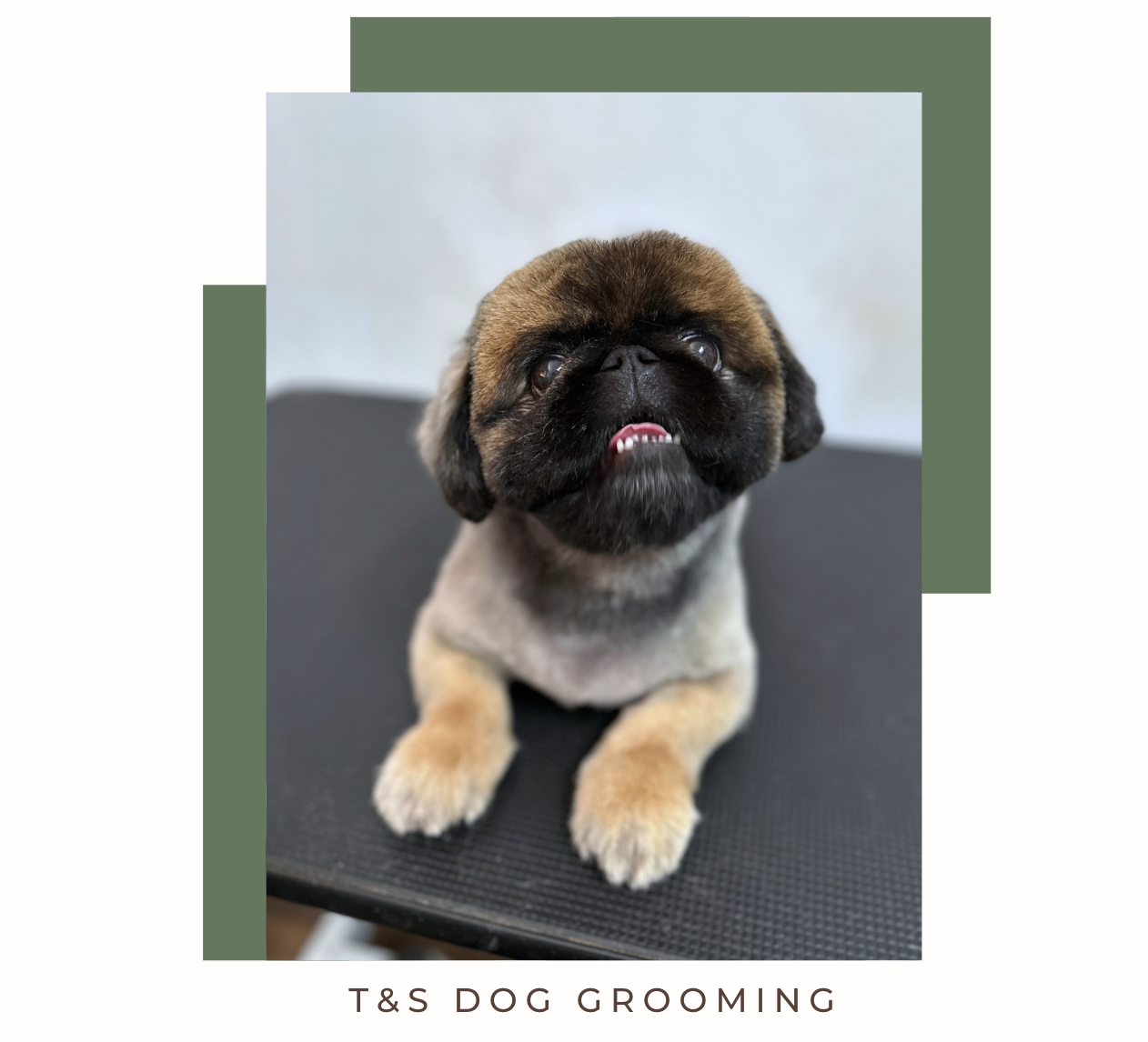 Screenshot 2026-02-12 at 4.04.16 pm.png