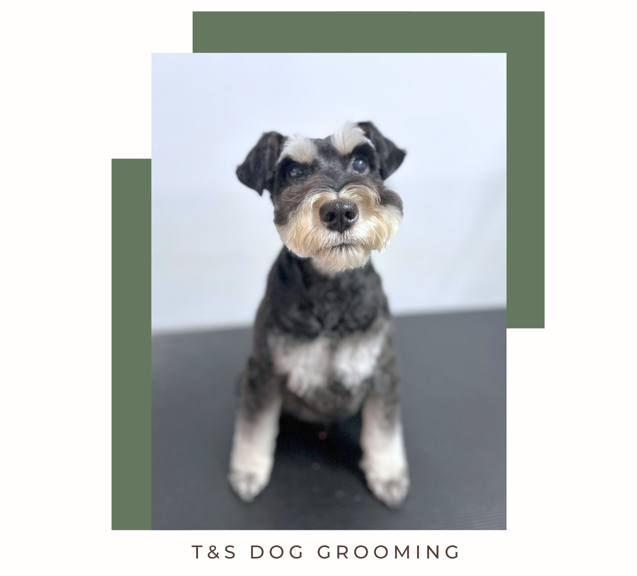 Screenshot 2026-02-12 at 11.46.44 am.png