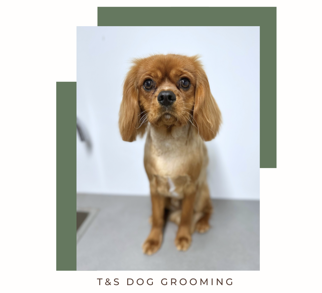 Screenshot 2026-02-12 at 4.13.38 pm.png