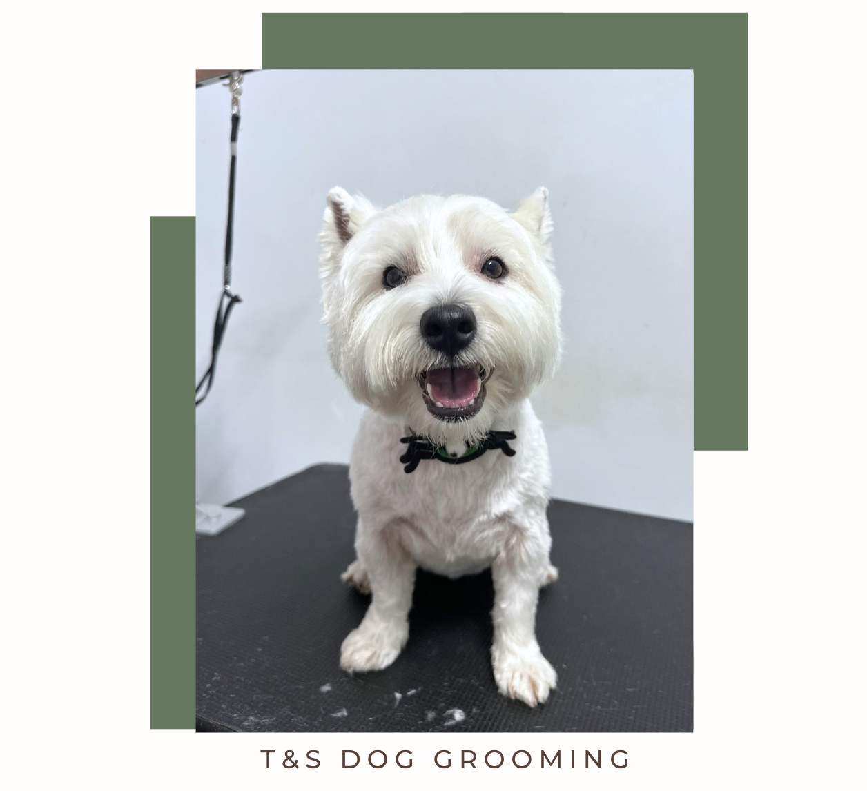 Screenshot 2026-02-12 at 4.12.18 pm.png