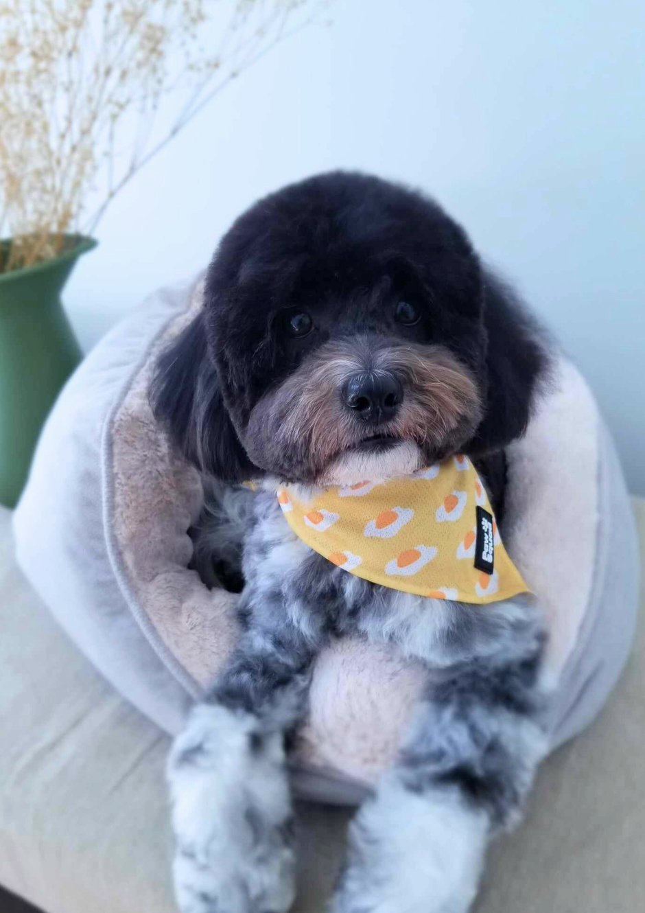 Screenshot 2023-09-16 at 3.17.15 pm.png