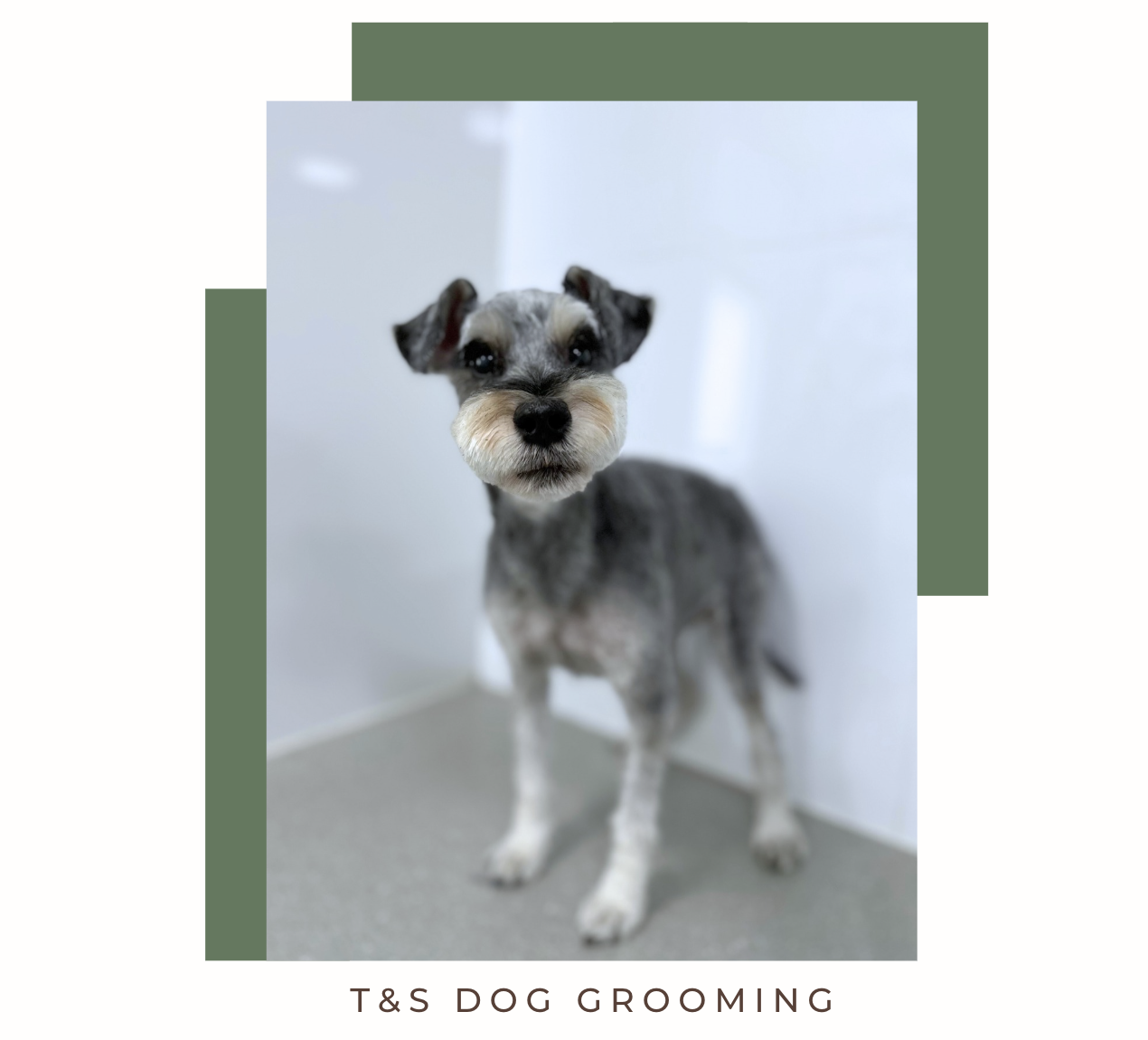 Screenshot 2026-02-12 at 4.10.58 pm.png