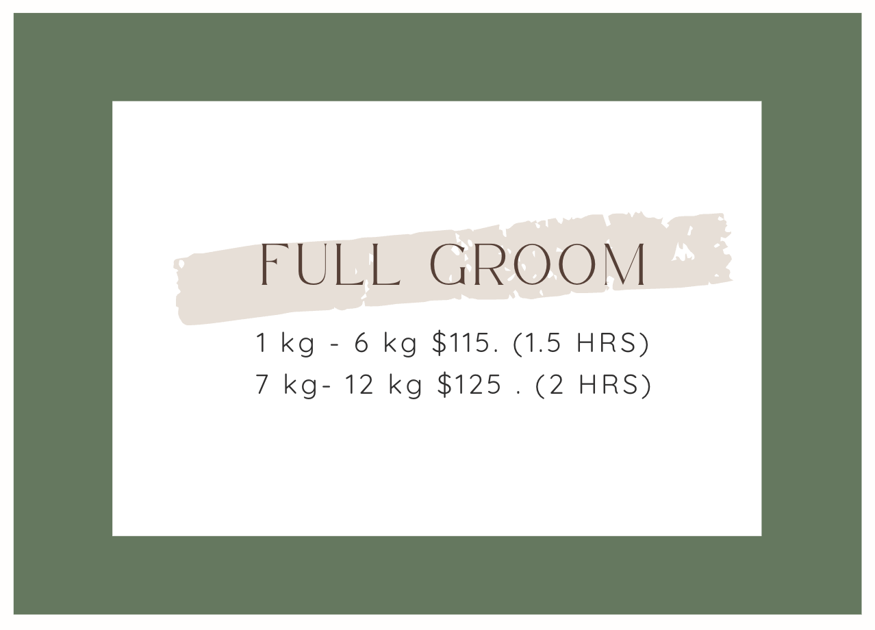 Screenshot 2026-02-12 at 4.01.35 pm.png