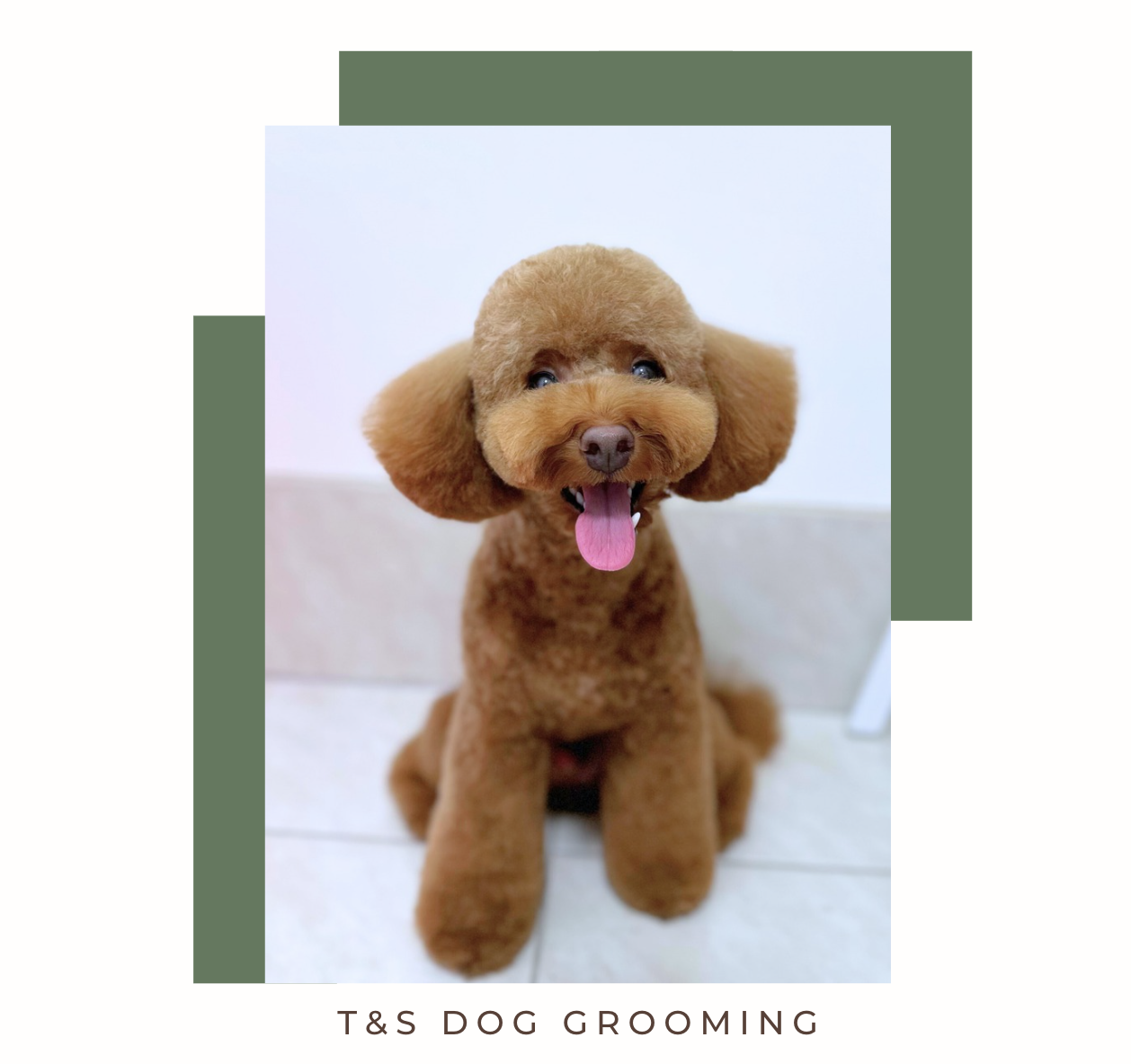 Screenshot 2026-02-12 at 11.41.36 am.png