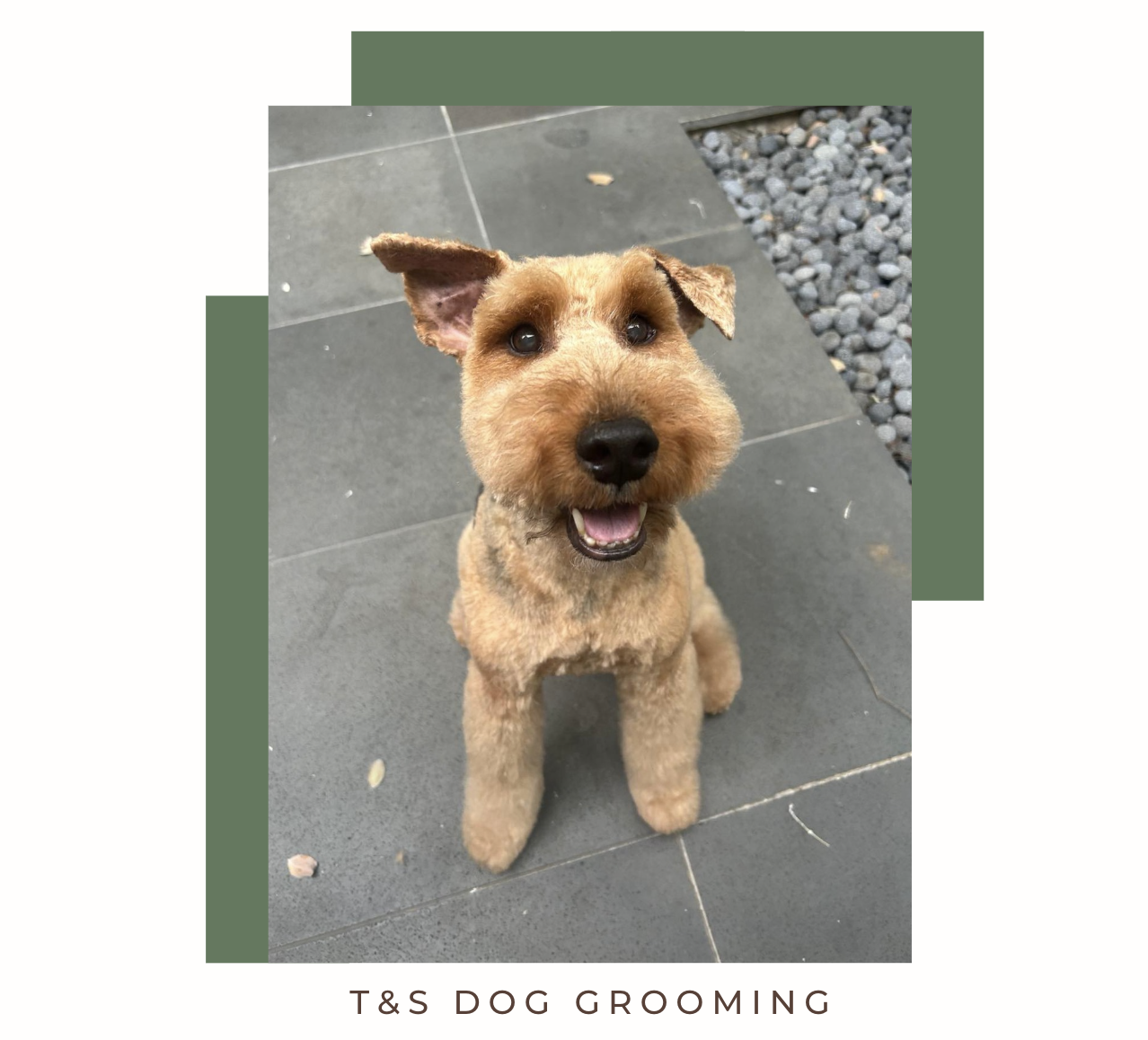 Screenshot 2026-02-12 at 11.52.02 am.png