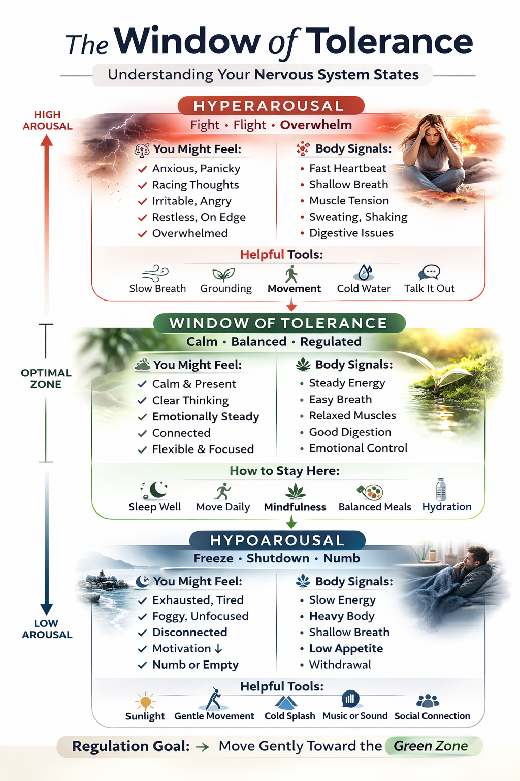 infographic for understanding your nervous system and the window of tolerance
