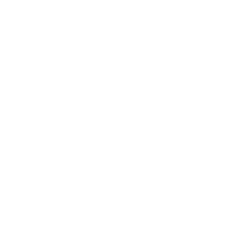 Fast Car Icon