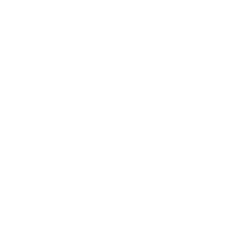 Carpet cleaning icon