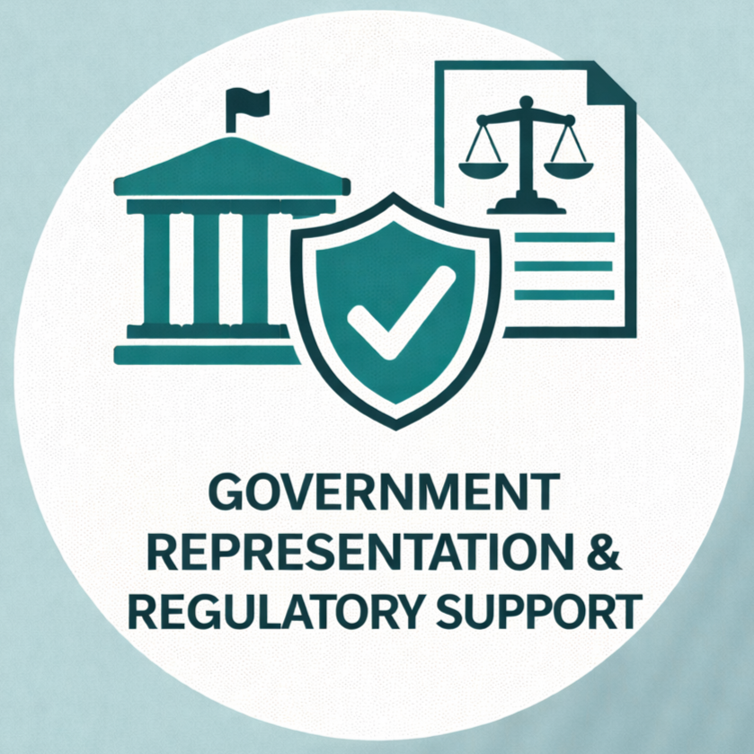 Government Representation and Support