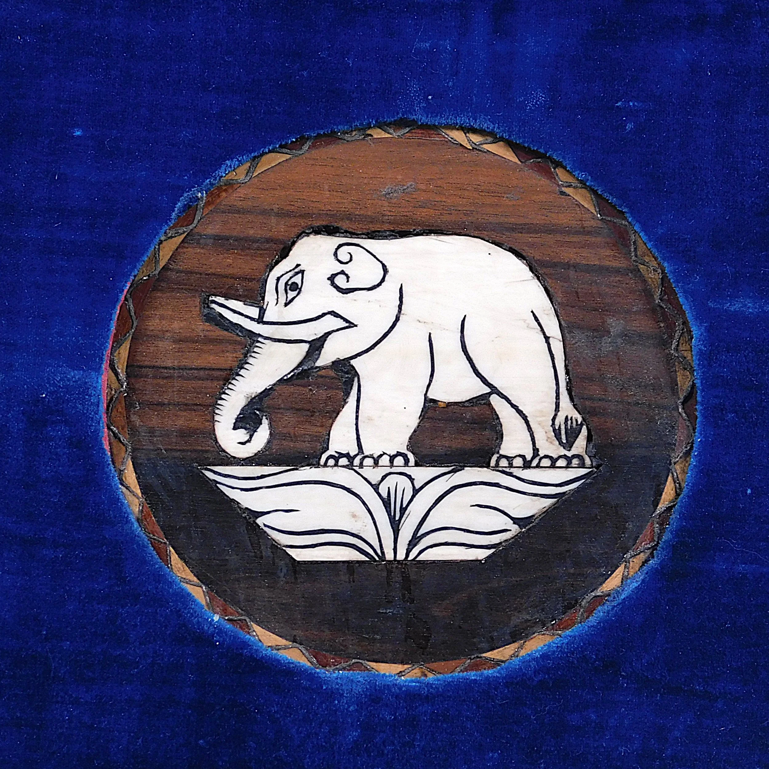 DSCN7652.JPG