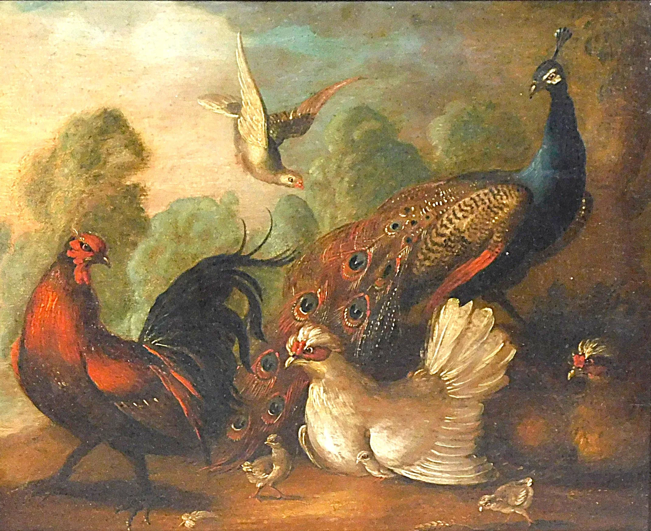 Marmaduke Cradock (English, 1660-1716), Birds In Landscape, Oil On Board