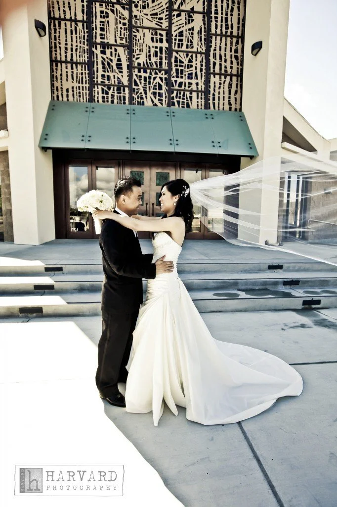 Anna & Will's Wedding Highlight...