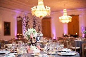 Stephanie & Rene's Romantic Wedding...