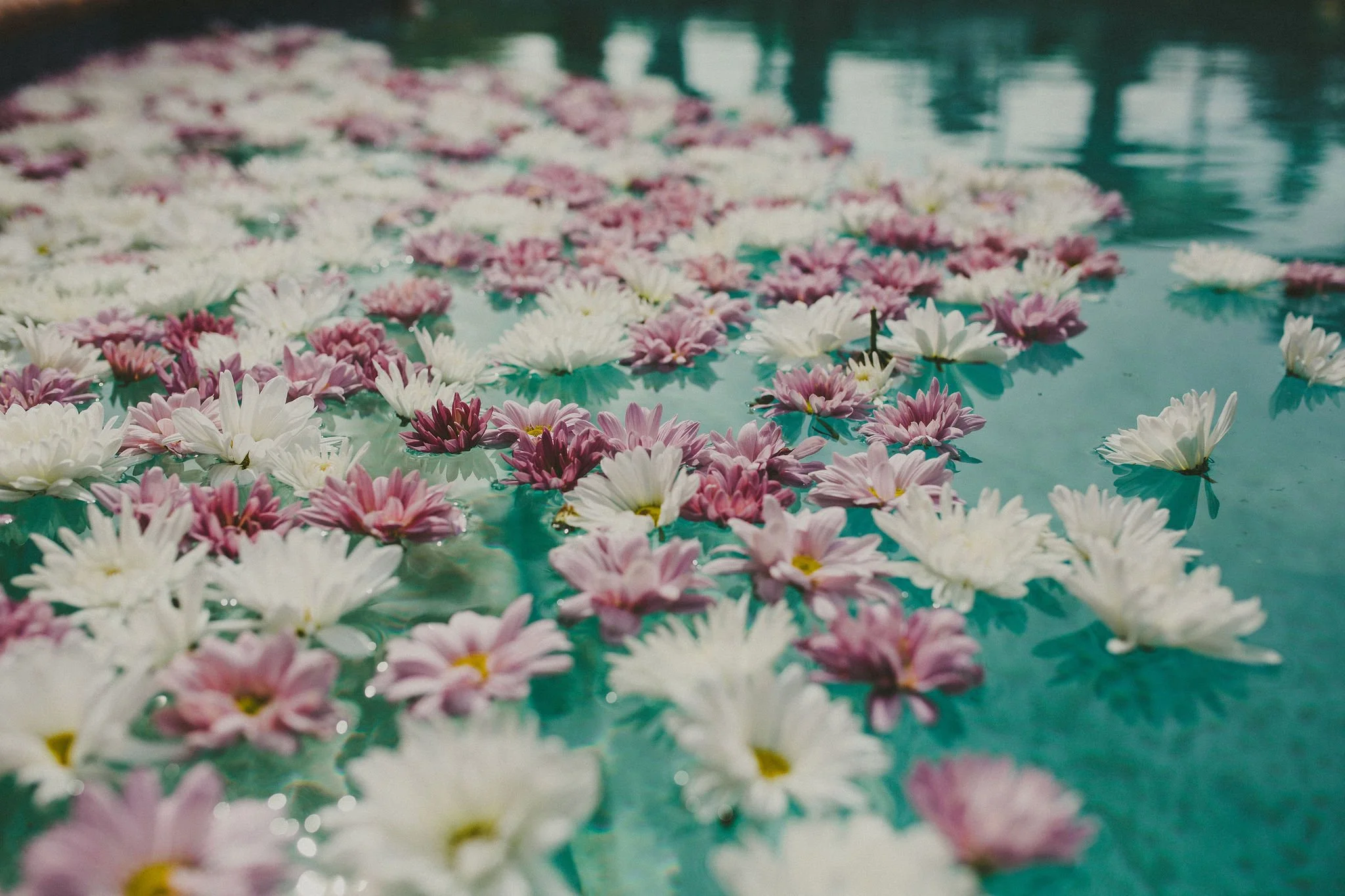 newport-beach-wedding-planner