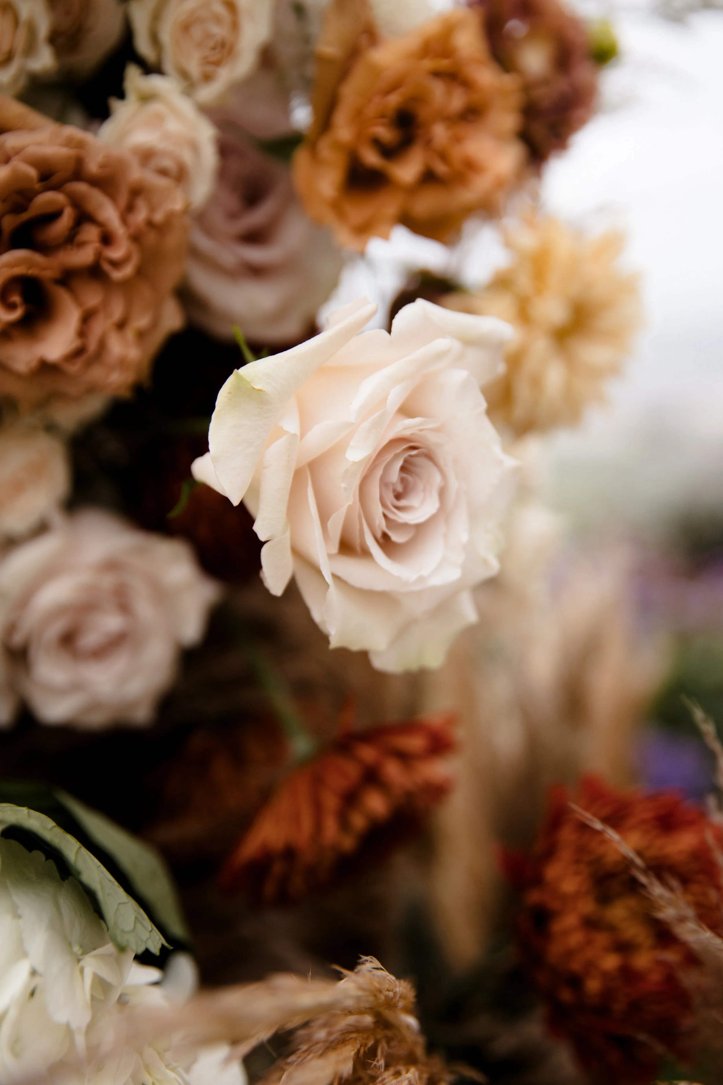 ritz-carlton-laguna-niguel-wedding-planner