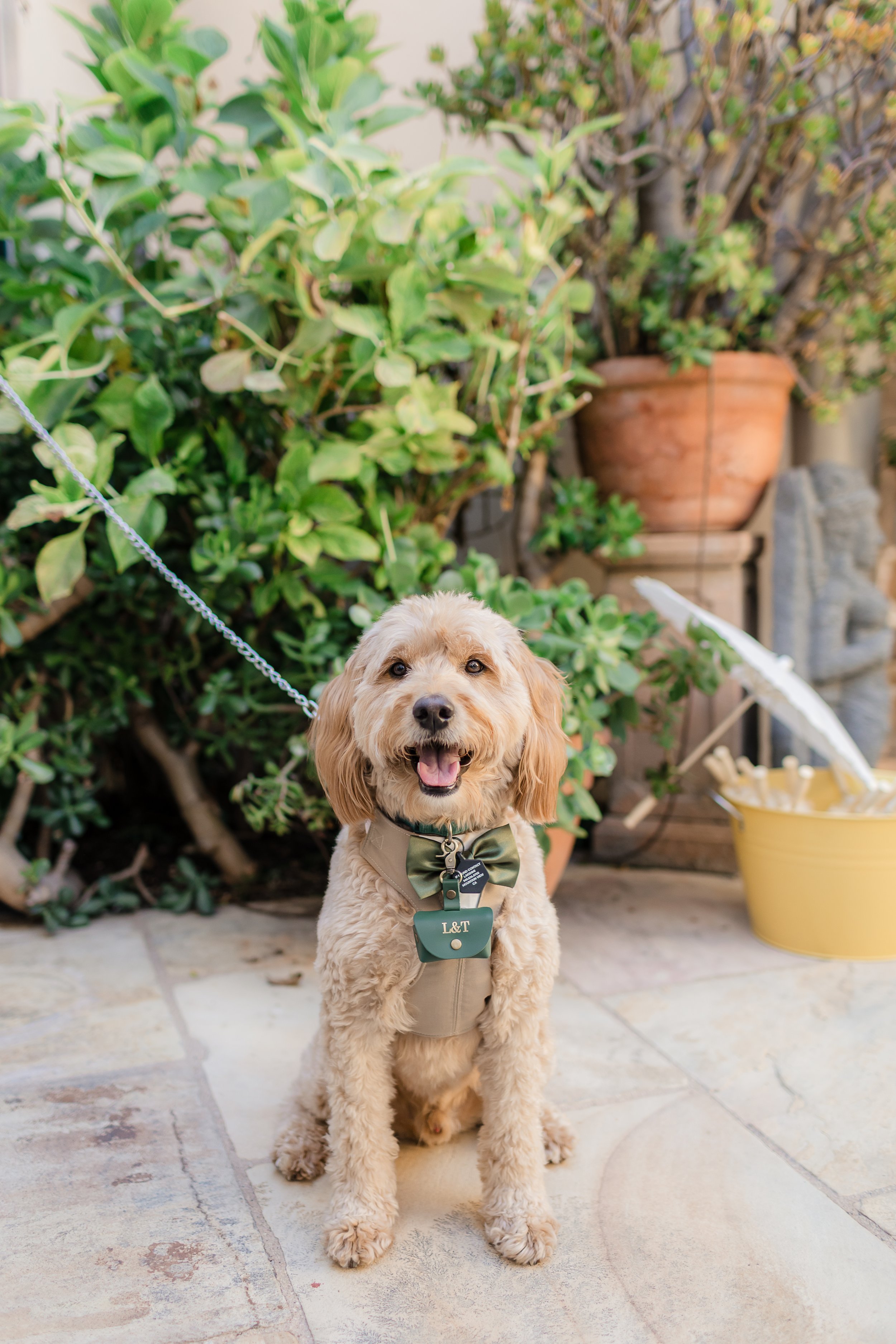 orange-county-wedding-planner