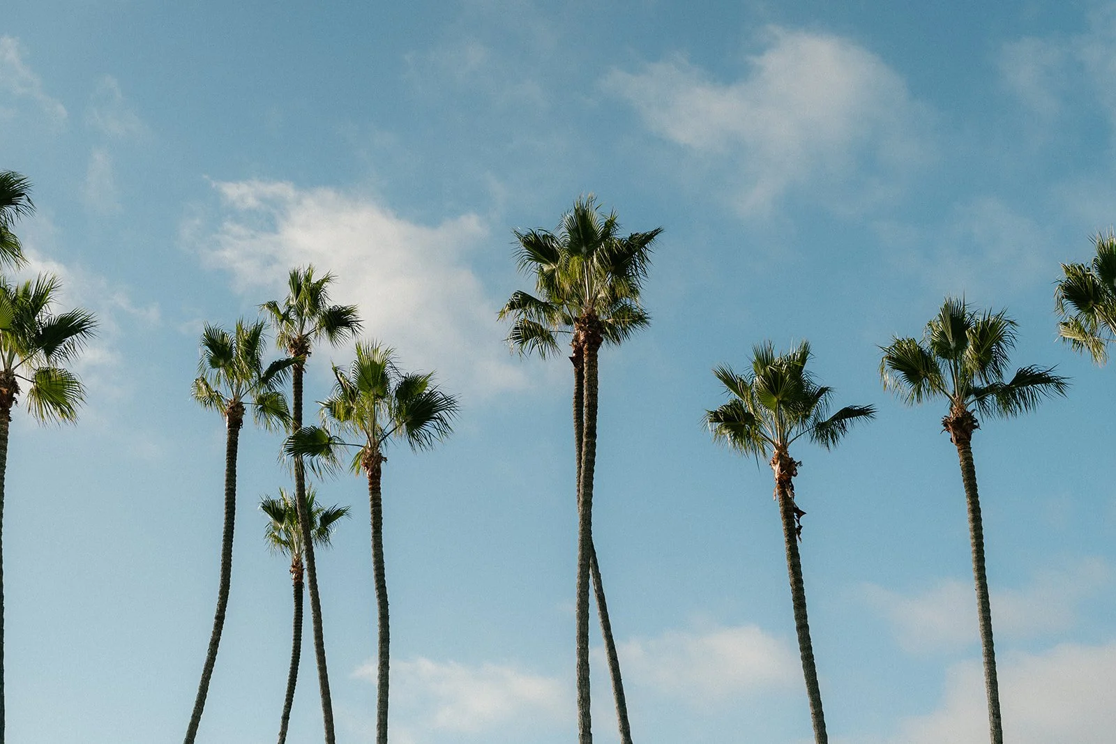 ole-hanson-beach-club-wedding-planner