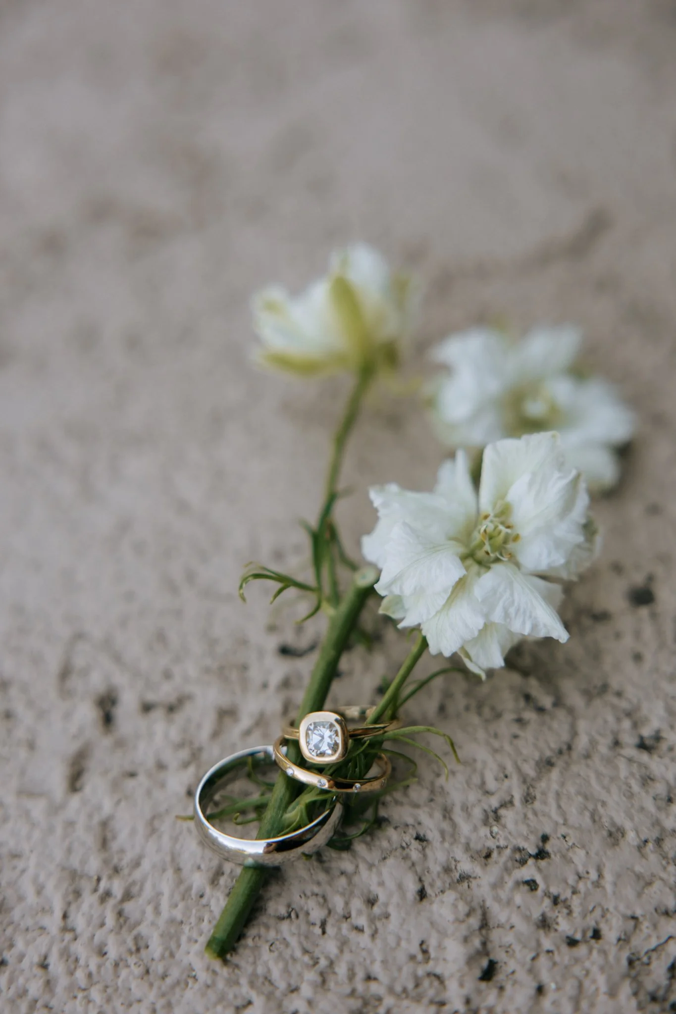 temecula-creek-inn-wedding-planner