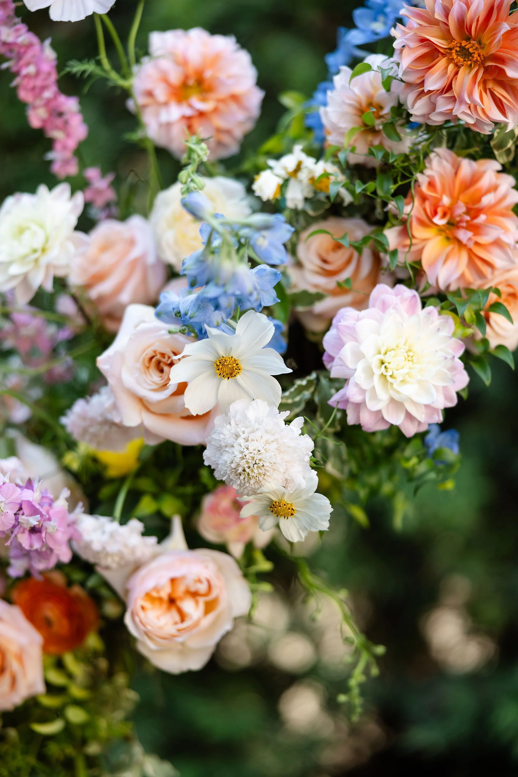 franciscan-gardens-wedding-planner