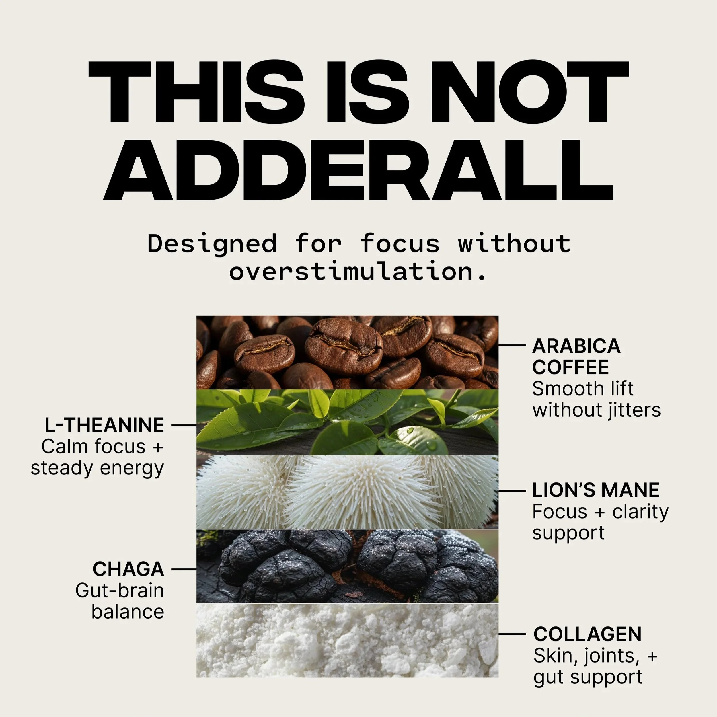 Adhd_V3_4x5_Kristen.jpg