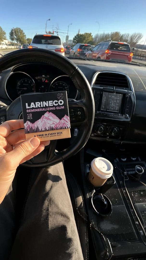 car 2.jpg