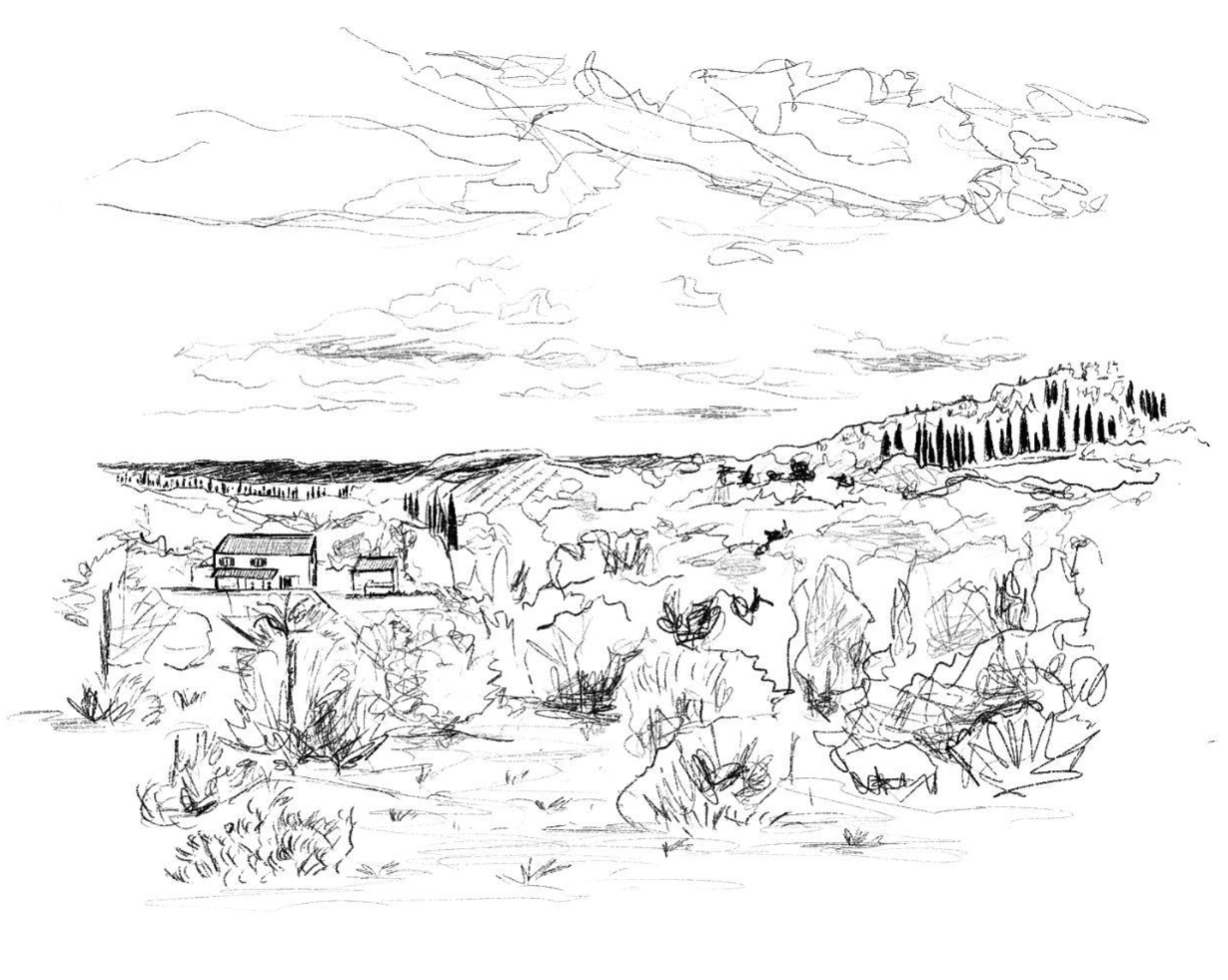 Screenshot 2026-01-23 at 16.12.41.png