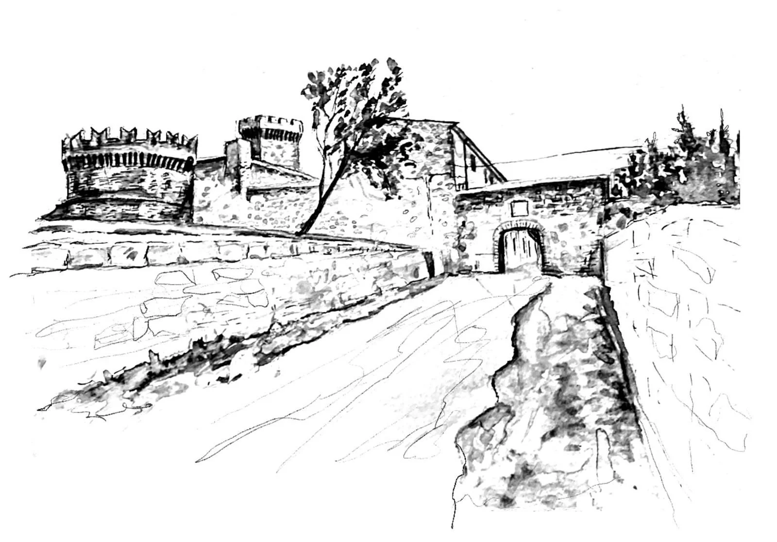 WhatsApp Image 2026-02-23 at 15.41.55.jpeg