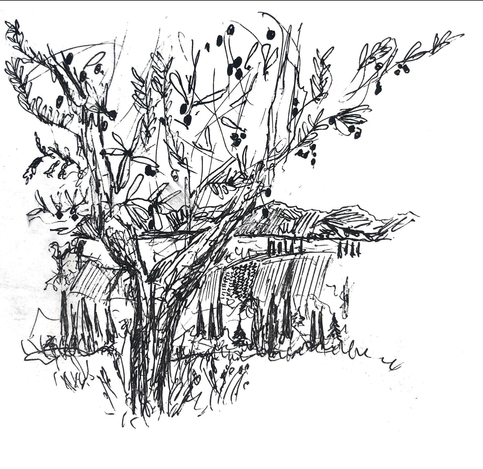 Screenshot 2026-01-23 at 16.13.00.png