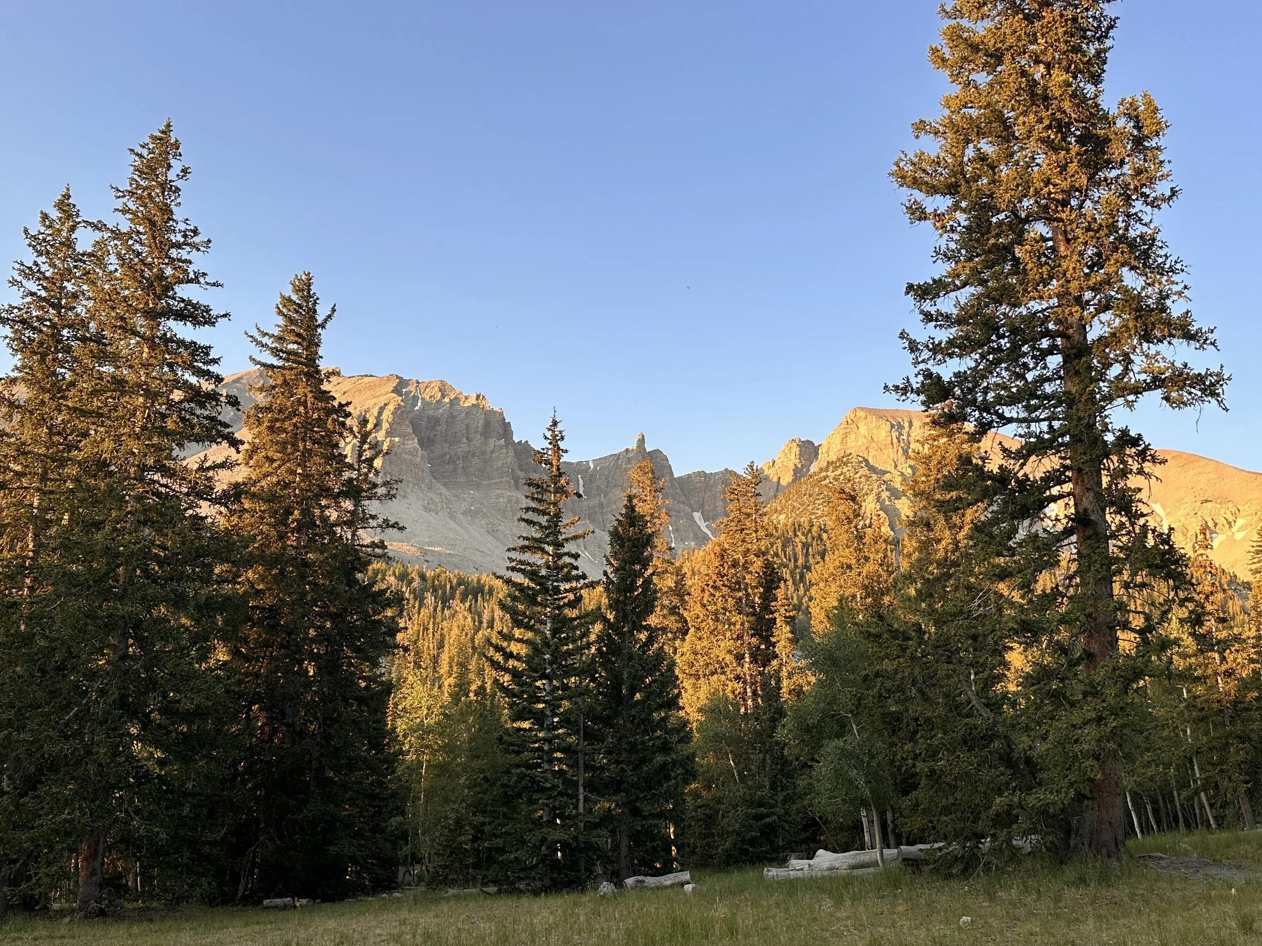 IMG_1674.jpg