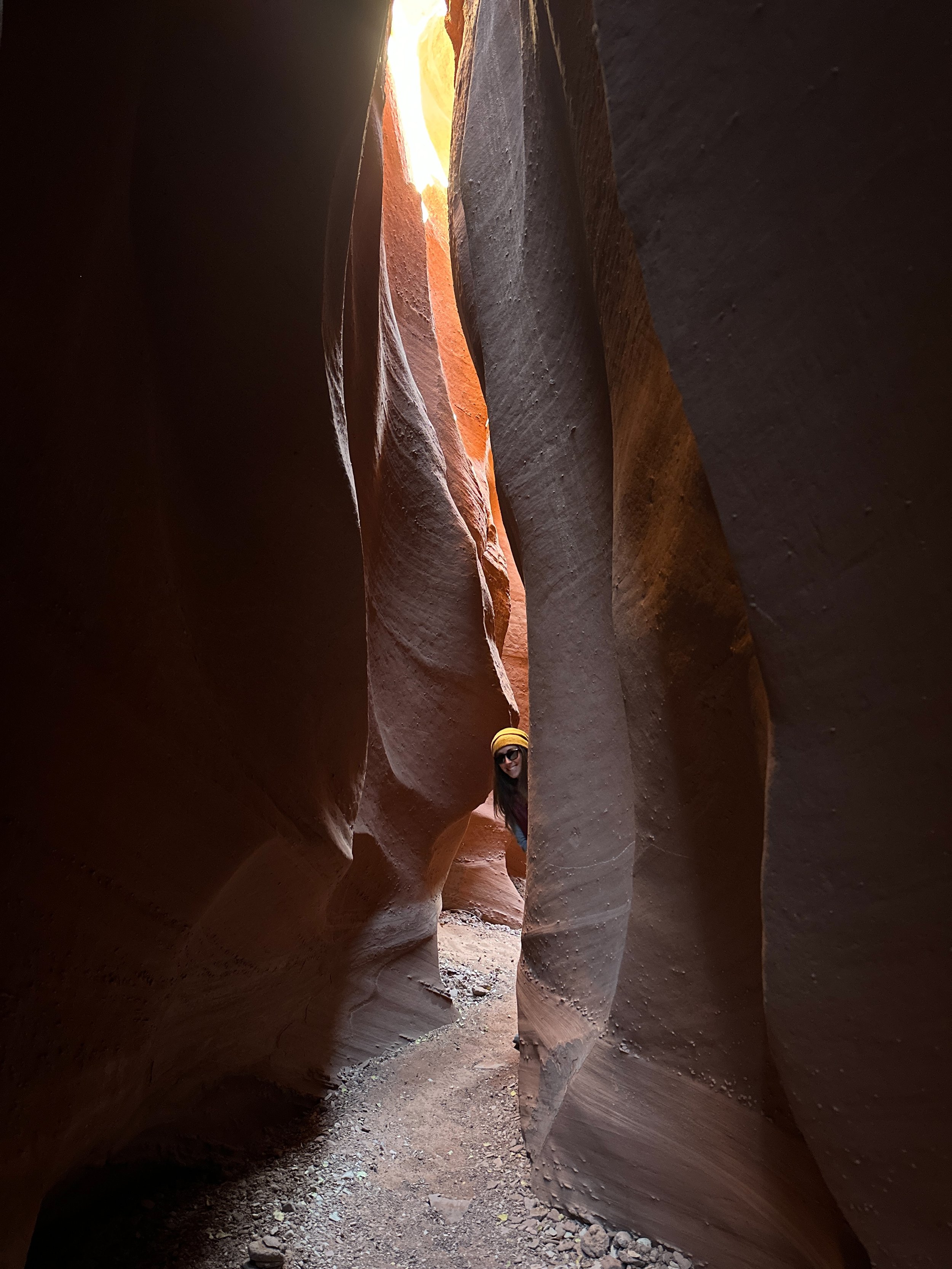 IMG_2024_11_22-12_01_33_9270_A01C19A7.jpeg