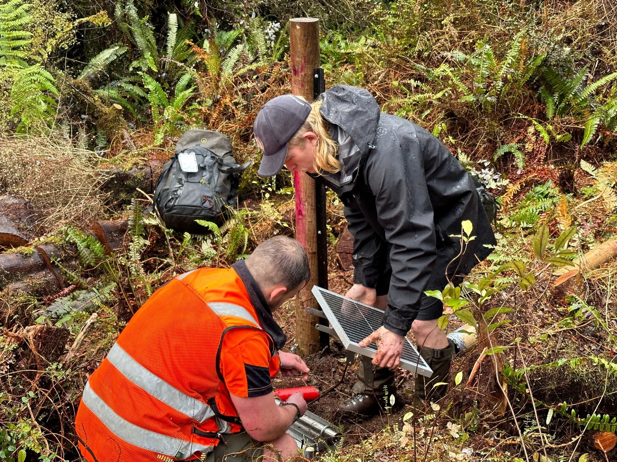 Two people working outdoors in rainy weather, installing a solar panel on a wooden post in a forested area, one person wearing an orange safety vest and the other dressed in black rain gear with a cap.