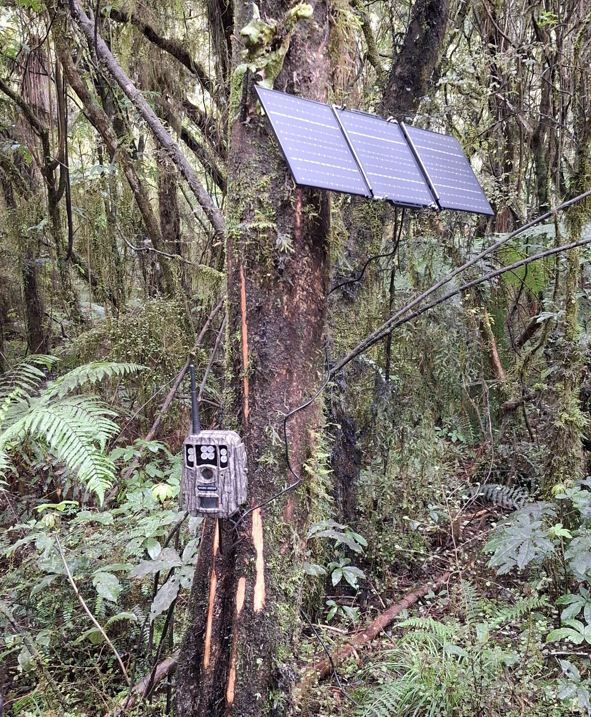 Solar powered AI enabled trail camera