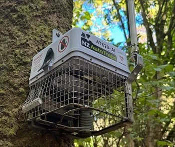 Tree-mounted trap with a mesh cage and a camera, in a leafy outdoor setting.