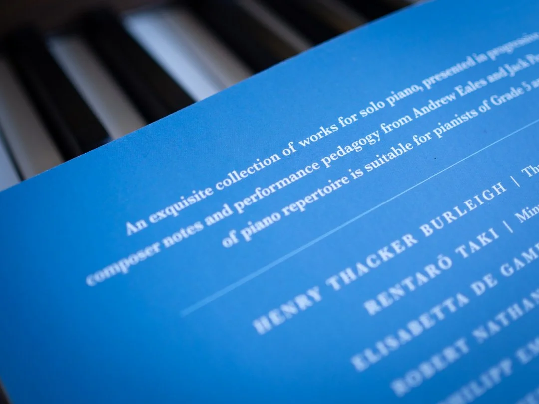 Back cover of Music We Might Have Played piano book showing overview of contents