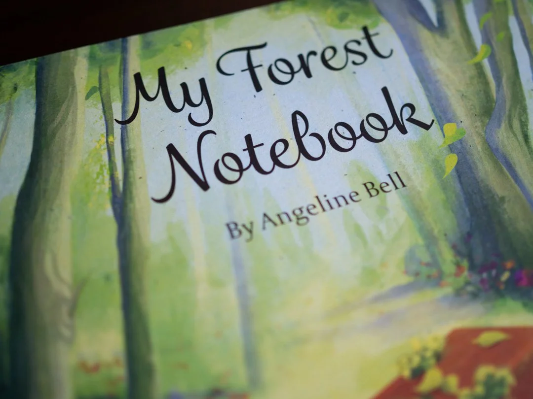 My Forest Notebook (Angeline Bell) | Piano Sheet Music Review