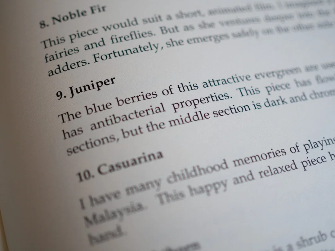 Notes page from My Forest Notebook showing composer Angeline Bell’s thoughts and inspirations for each piano piece.