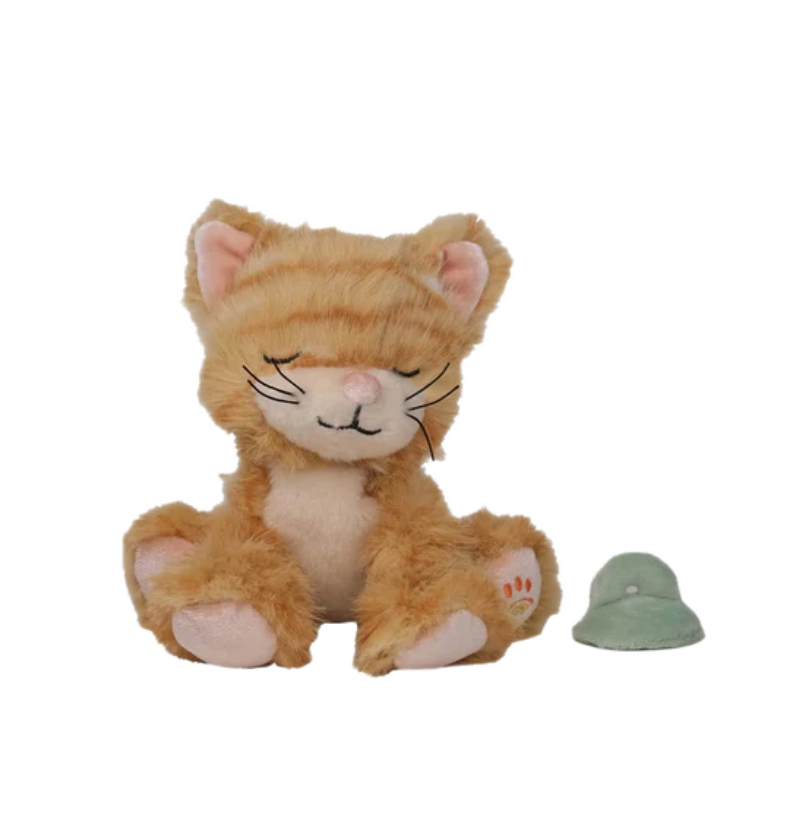 Dinkum Binky Kitten Koda Ginger