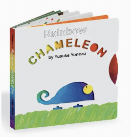 Rainbow Chameleon Book