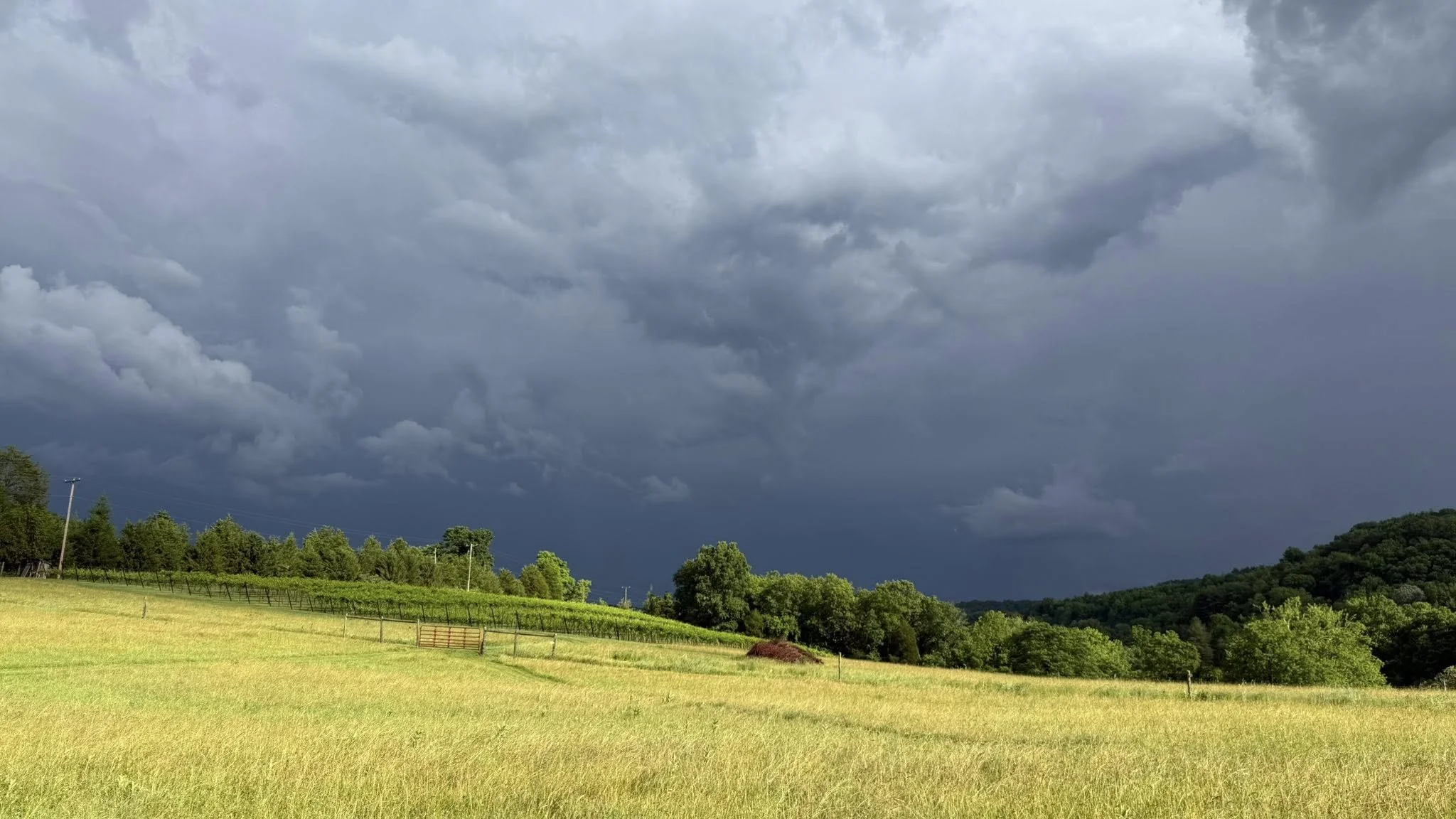 A dramatic June summer storm rolls across the hills above Old World Libations, with the vineyard and open fields glowing beneath the dark Appalachian sky. This scene captures the beauty, weather, and living landscape that shape our wines in Monroe Co