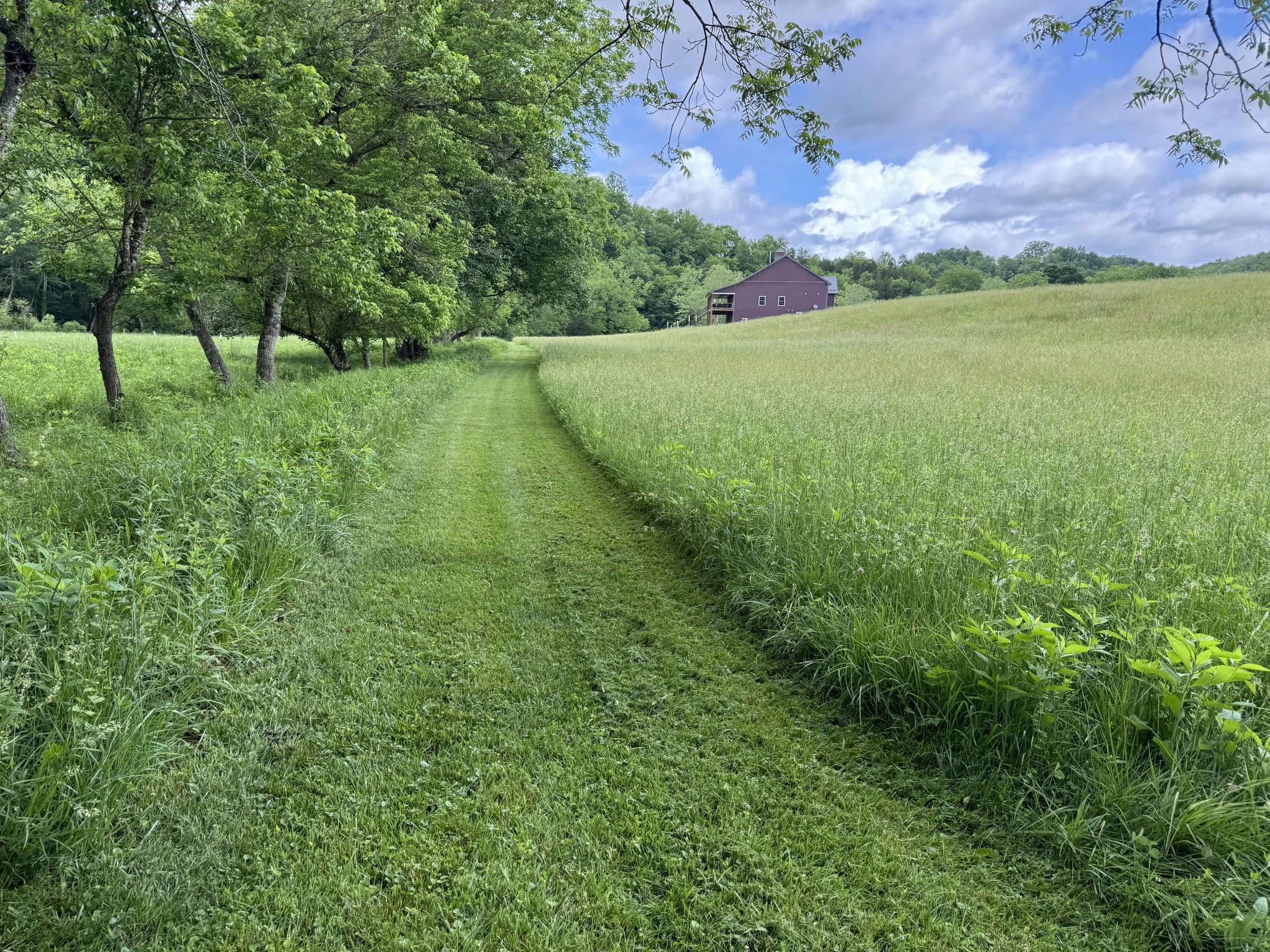 A mowed path winds through the summer fields beside Indian Creek at Old World Libations, with the winery rising in the distance among the green hills of Monroe County, West Virginia. This quiet Appalachian landscape is part of the peaceful setting gu