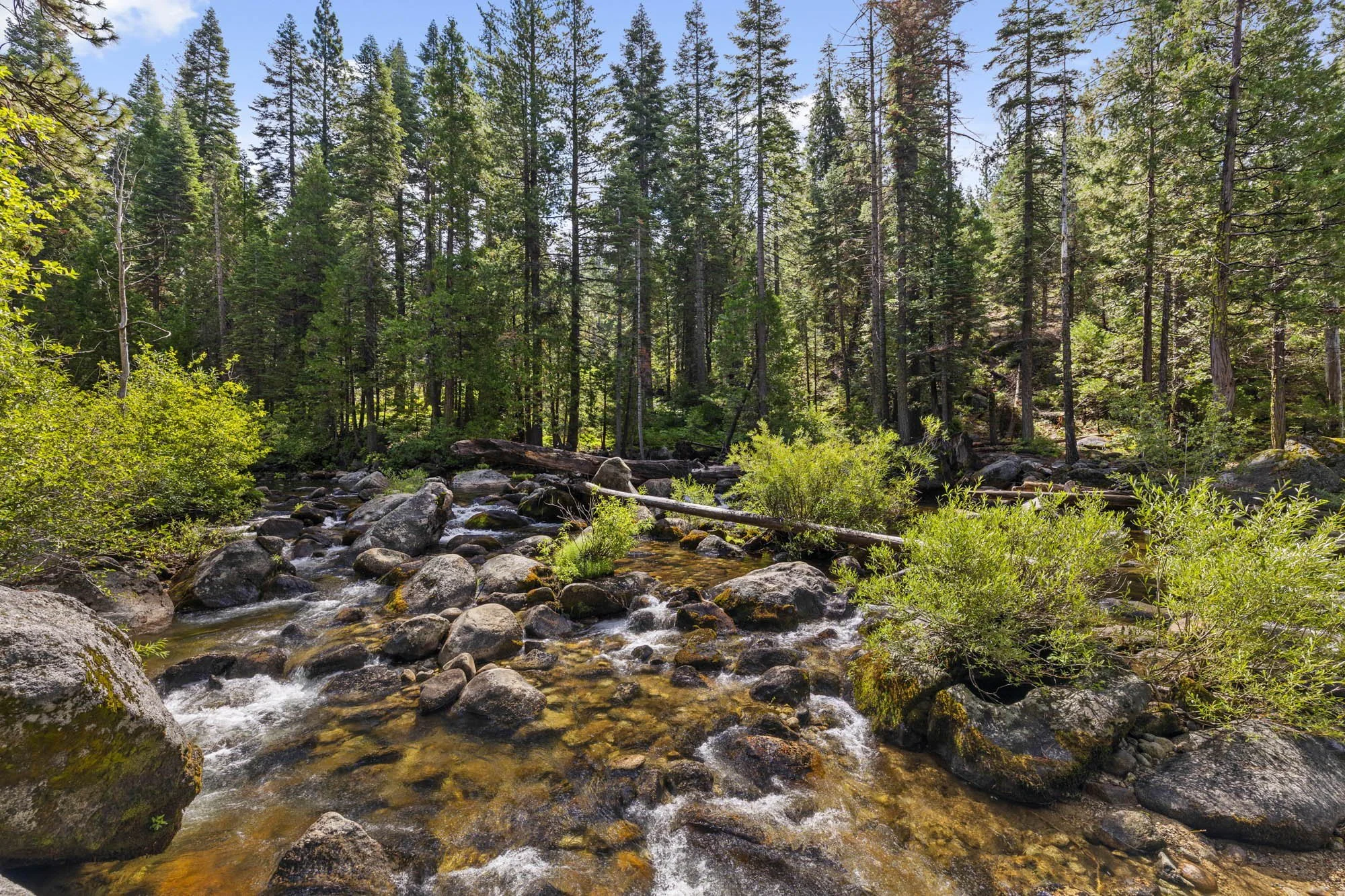 60-web-or-mls-28365 Herring Creek Ln_043.JPG