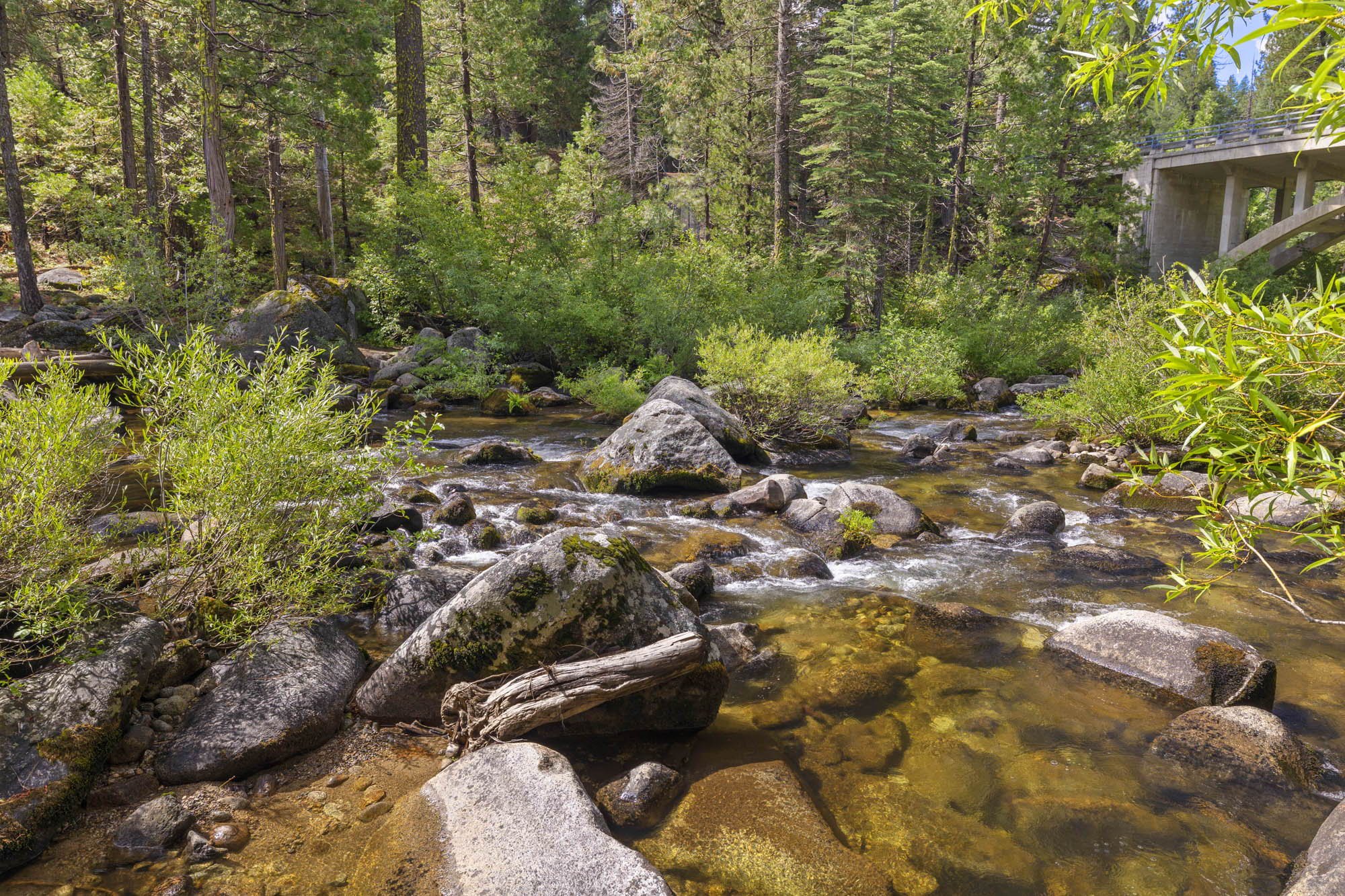 62-web-or-mls-28365 Herring Creek Ln_045.JPG