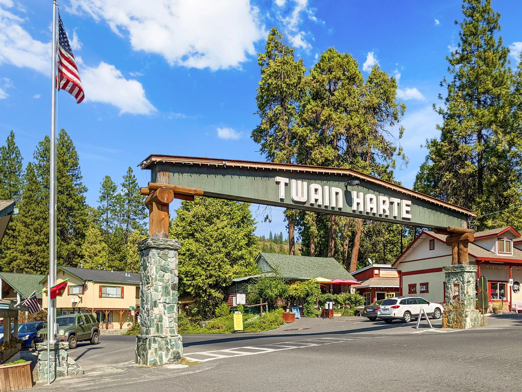 40-web-or-mls-Twain Harte Sign-1.jpg