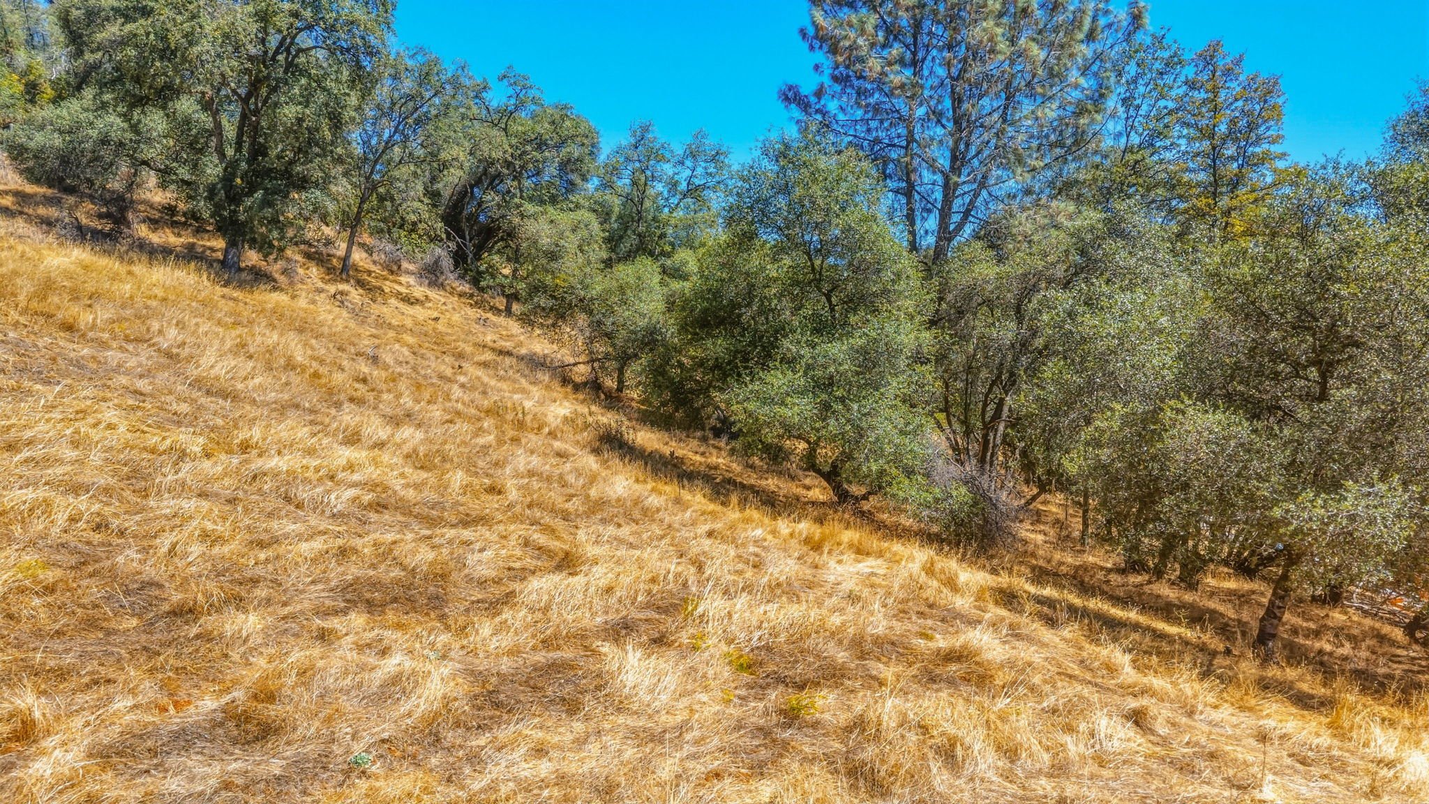 2-web-or-mls-22937 Columbia Vista Dr-2.jpg