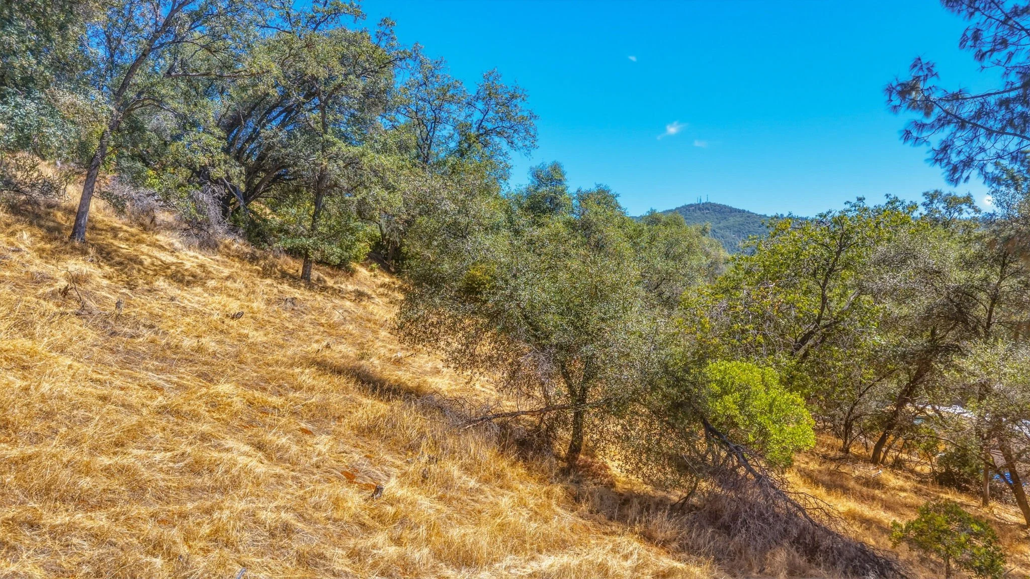 3-web-or-mls-22937 Columbia Vista Dr-3.jpg