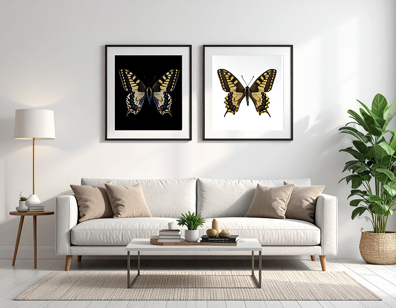 Livingroom 2 frames on wall.png