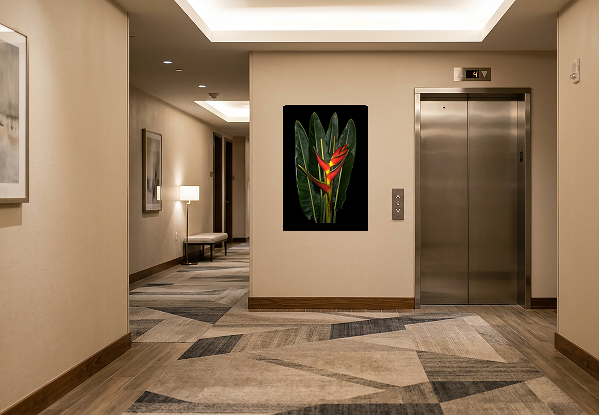 Heliconia bouquet blk bkgnd elevator lobby_1500.png
